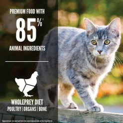 Best Original Cat Food Recipe Dry Food Dry Cat Food