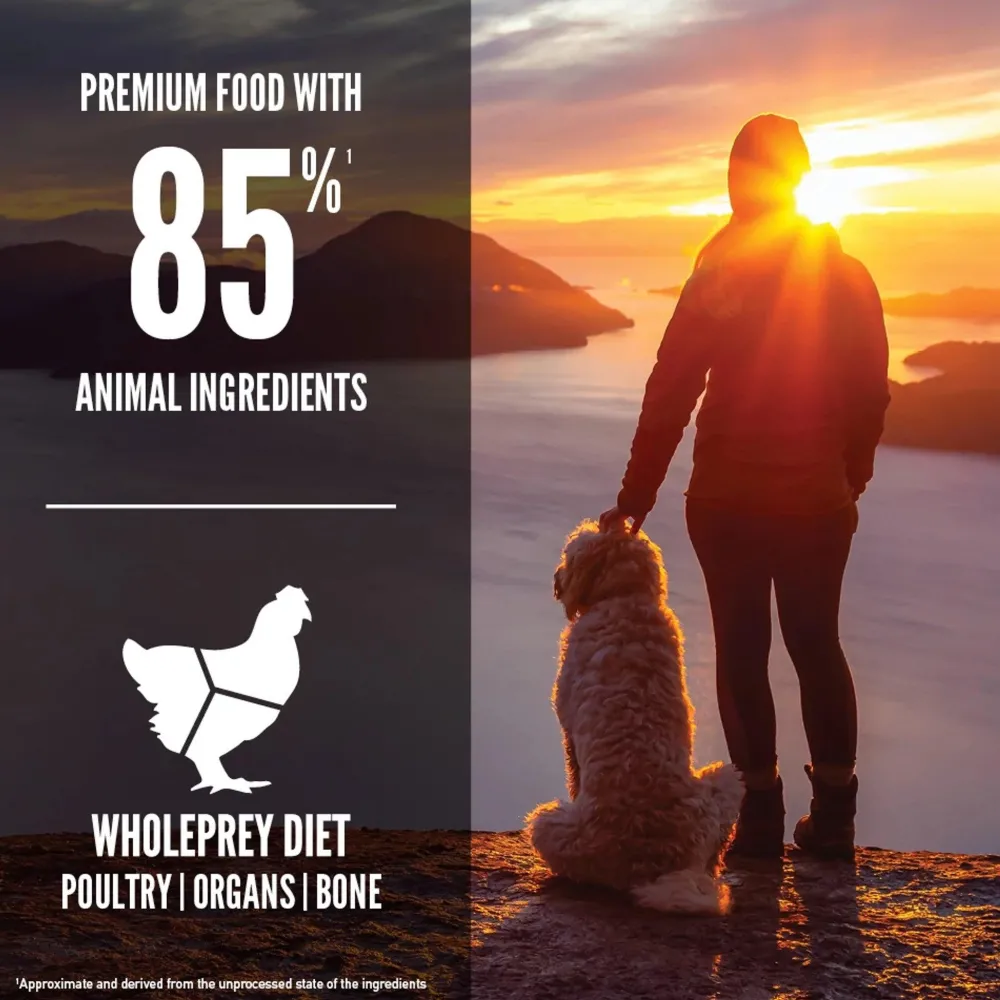 New Senior Dry Dog Food Recipe Food Dry, Wet, Freeze Dried, Etc.