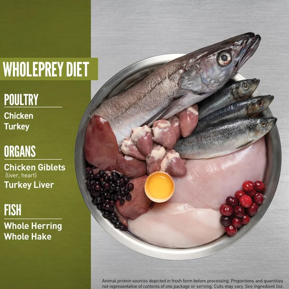 New Senior Dry Dog Food Recipe Food Dry, Wet, Freeze Dried, Etc.