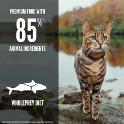 Online Six Fish Dry Cat Food Recipe Dry Food Dry Cat Food