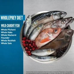 Online Six Fish Dry Cat Food Recipe Dry Food Dry Cat Food