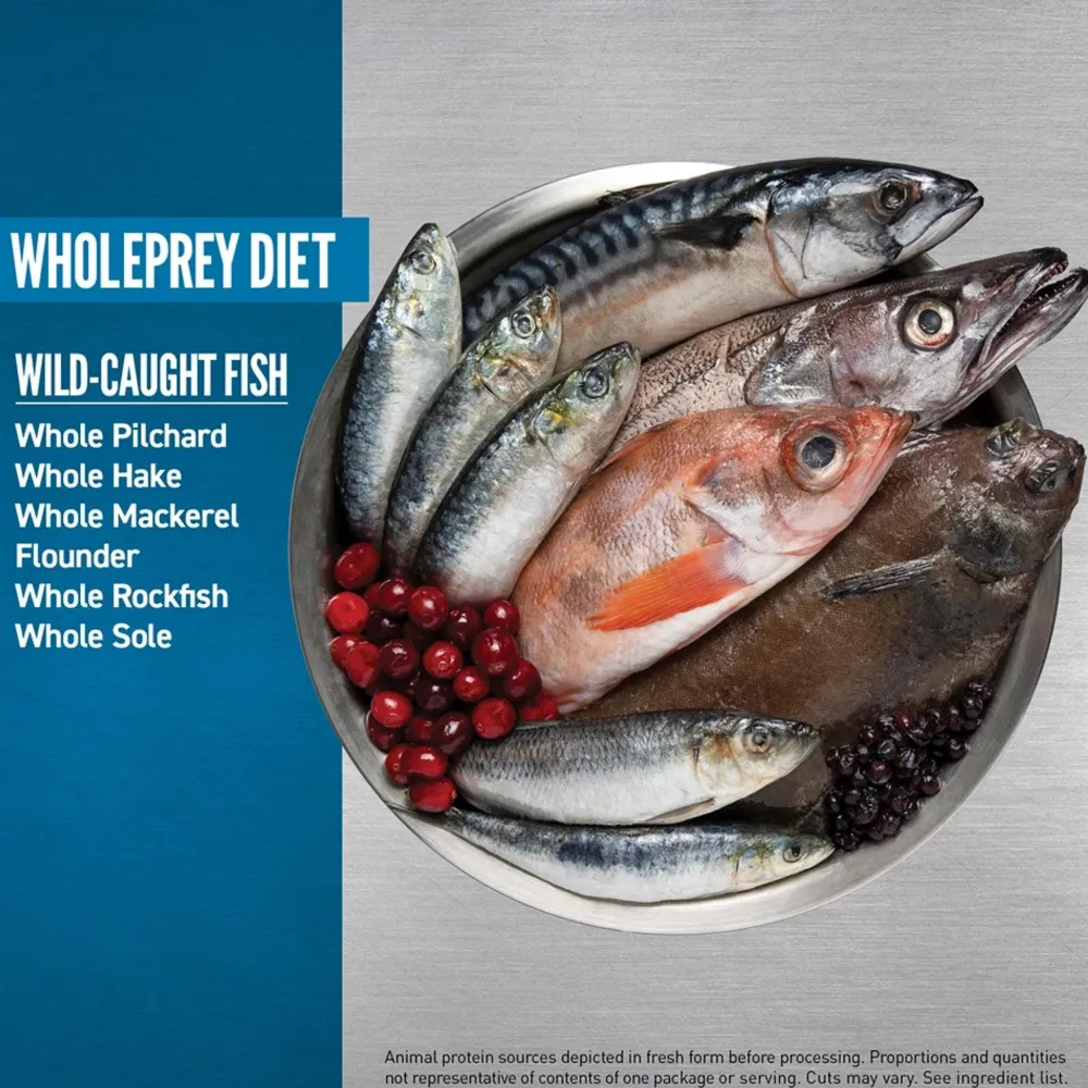 Online Six Fish Dry Cat Food Recipe Dry Food Dry Cat Food