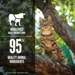Online Tuna + Beef Entrée Wet Cat Food Recipe Wet Food Cans, Pouches, Tetra Paks, Etc.