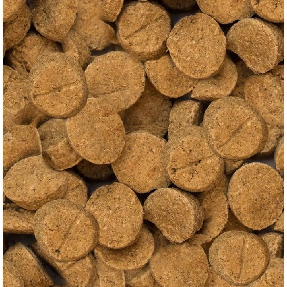 Online Oven-Baked Tradition Large Breed Puppy Chicken Recipe Food Dry, Wet, Freeze Dried, Etc.