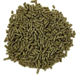 Hot All Natural Essentials Chinchilla Food Shop Small Animal Find All Of The Essentials