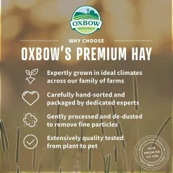 Online Oat Hay Shop Small Animal Find All Of The Essentials