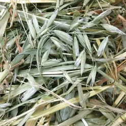 Online Oat Hay Shop Small Animal Find All Of The Essentials