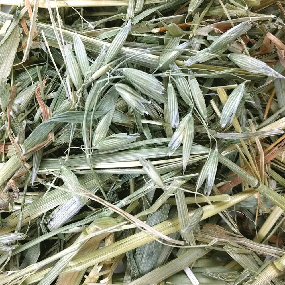 Online Oat Hay Shop Small Animal Find All Of The Essentials