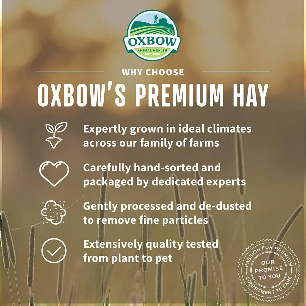 Fashion Small Animal Health Alfalfa Hay Shop Small Animal Find All Of The Essentials