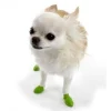 Clearance Dog Boots Supplies Leashes, Collars, Beds, Flea & Tick, Etc.
