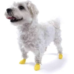 Clearance Dog Boots Supplies Leashes, Collars, Beds, Flea & Tick, Etc.