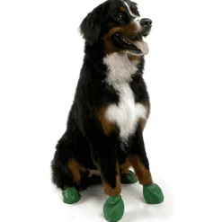 Clearance Dog Boots Supplies Leashes, Collars, Beds, Flea & Tick, Etc.