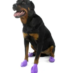 Clearance Dog Boots Supplies Leashes, Collars, Beds, Flea & Tick, Etc.