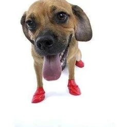 Clearance Dog Boots Supplies Leashes, Collars, Beds, Flea & Tick, Etc.