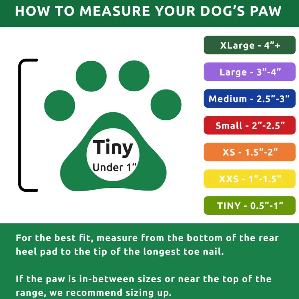 Discount Dog Boots Black 12 Pack Supplies Leashes, Collars, Beds, Flea & Tick, Etc.