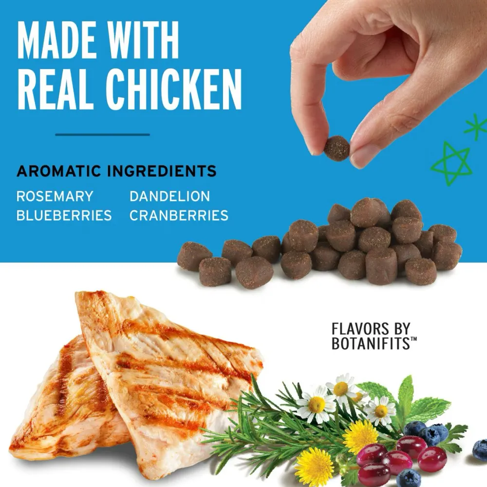 Clearance Training Rewards Chicken Treats Treats & Chews