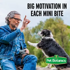 Clearance Training Rewards Chicken Treats Treats & Chews