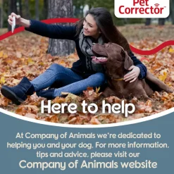 Clearance Pet Corrector Compressed Air Dog Trainer Supplies Leashes, Collars, Beds, Flea & Tick, Etc.