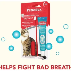 Fashion Dental Kit Cat Supplies Collars, Scratchers, Toys, Etc.