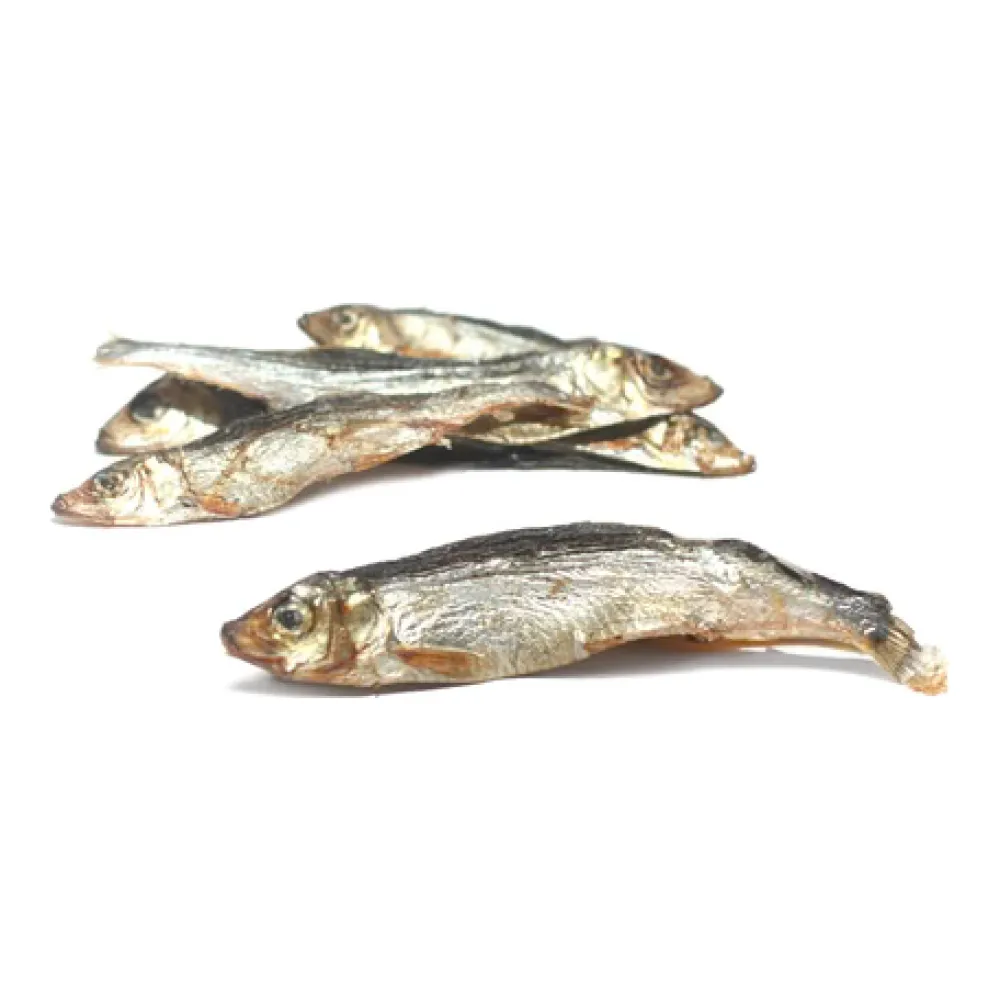 Hot Pet Treats Baltic Herring Treats Treats & Chews