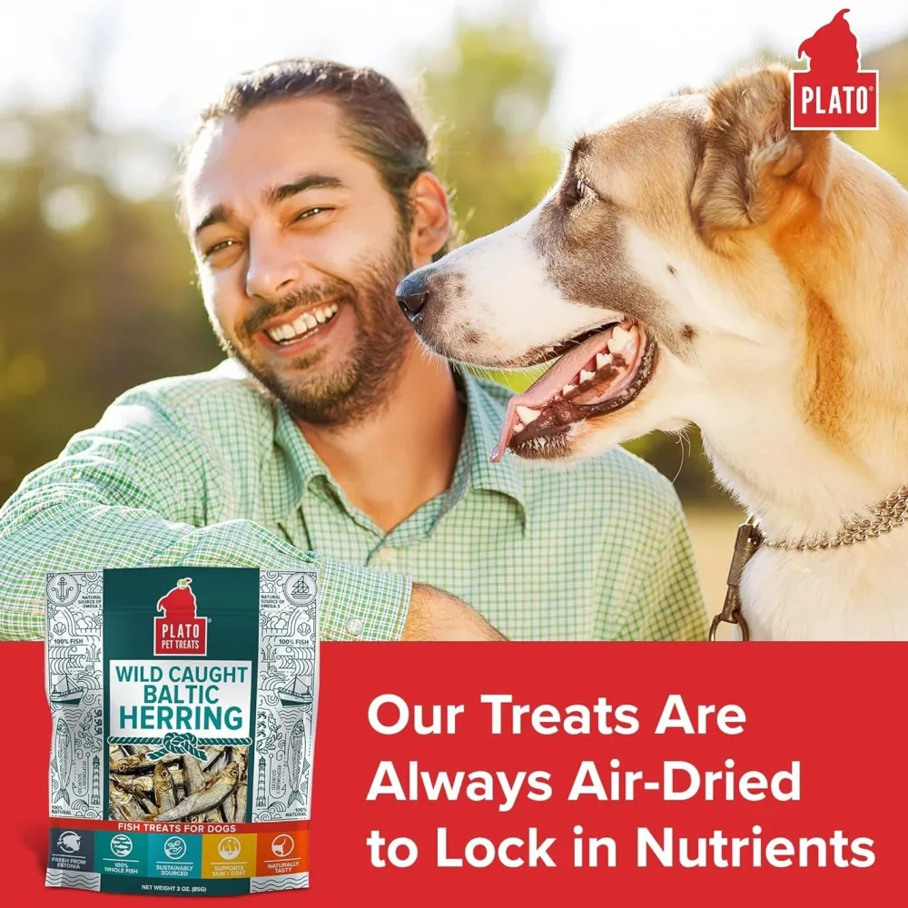 Hot Pet Treats Baltic Herring Treats Treats & Chews