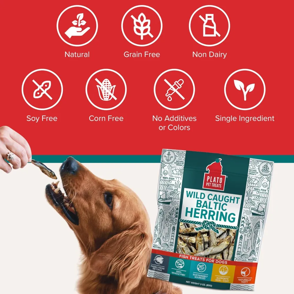 Hot Pet Treats Baltic Herring Treats Treats & Chews
