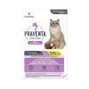 Online for Large Cats 4Kg+ Supplies Collars, Scratchers, Toys, Etc.