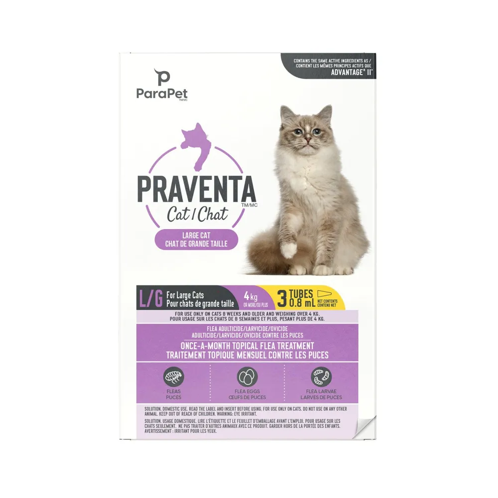 Online for Large Cats 4Kg+ Supplies Collars, Scratchers, Toys, Etc.