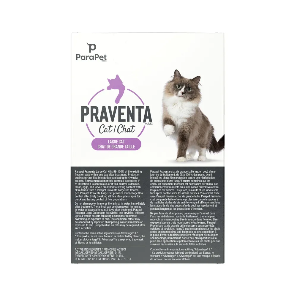 Online for Large Cats 4Kg+ Supplies Collars, Scratchers, Toys, Etc.