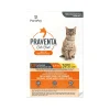 Fashion for Small Cats 2.3-4Kg Supplies Collars, Scratchers, Toys, Etc.