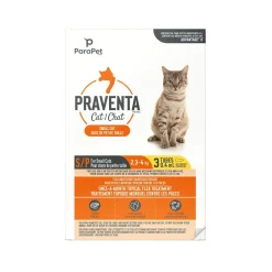 Fashion for Small Cats 2.3-4Kg Supplies Collars, Scratchers, Toys, Etc.