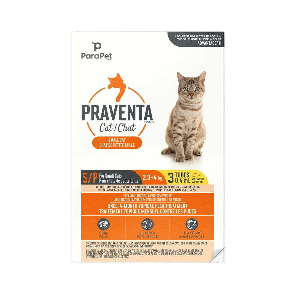 Fashion for Small Cats 2.3-4Kg Supplies Collars, Scratchers, Toys, Etc.