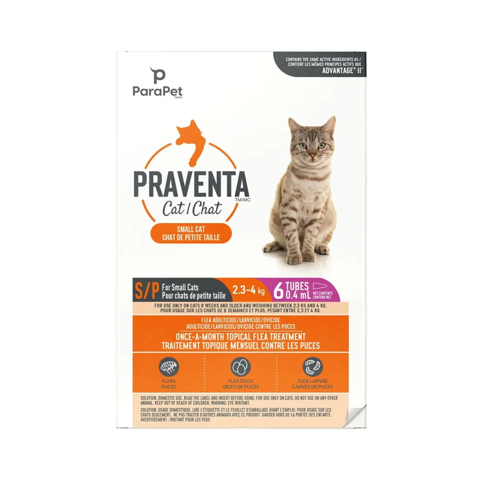 Fashion for Small Cats 2.3-4Kg Supplies Collars, Scratchers, Toys, Etc.