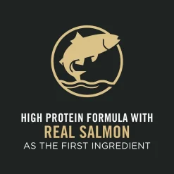 Discount Adult Salmon & Rice Formula Dry Cat Food Dry Food Dry Cat Food
