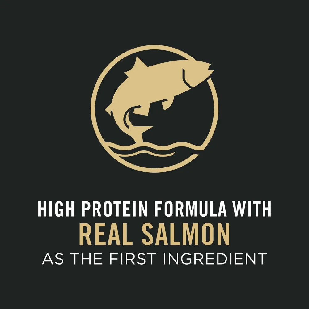 Discount Adult Salmon & Rice Formula Dry Cat Food Dry Food Dry Cat Food