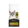 Clearance Adult Weight Management Chicken & Rice Dry Cat Food Dry Food Dry Cat Food