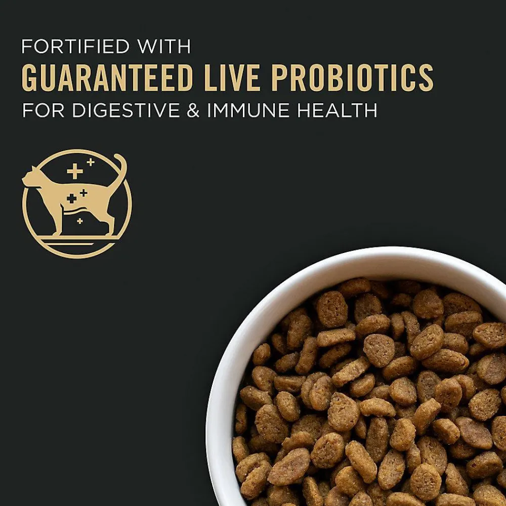 Clearance Allergen Reducing High Protein Cat Food LIVECLEAR Chicken and Rice Formula Dry Food Dry Cat Food