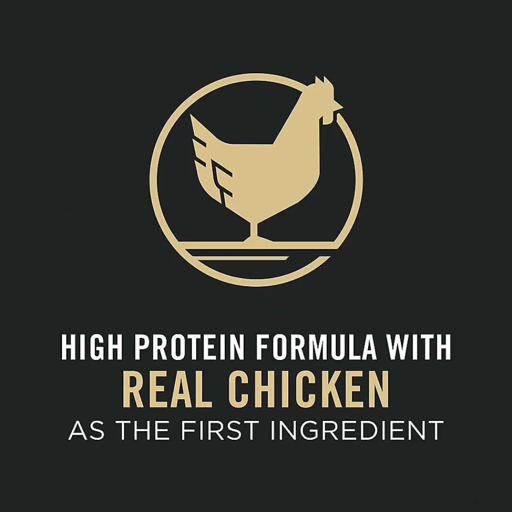 Clearance Allergen Reducing High Protein Cat Food LIVECLEAR Chicken and Rice Formula Dry Food Dry Cat Food