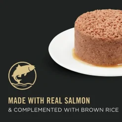 Sale Complete Essentials Adult Salmon Entrée in Sauce Wet Cat Food Wet Food Cans, Pouches, Tetra Paks, Etc.