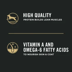 Online Dry Puppy Food Focus Chicken & Rice Formula Food Dry, Wet, Freeze Dried, Etc.