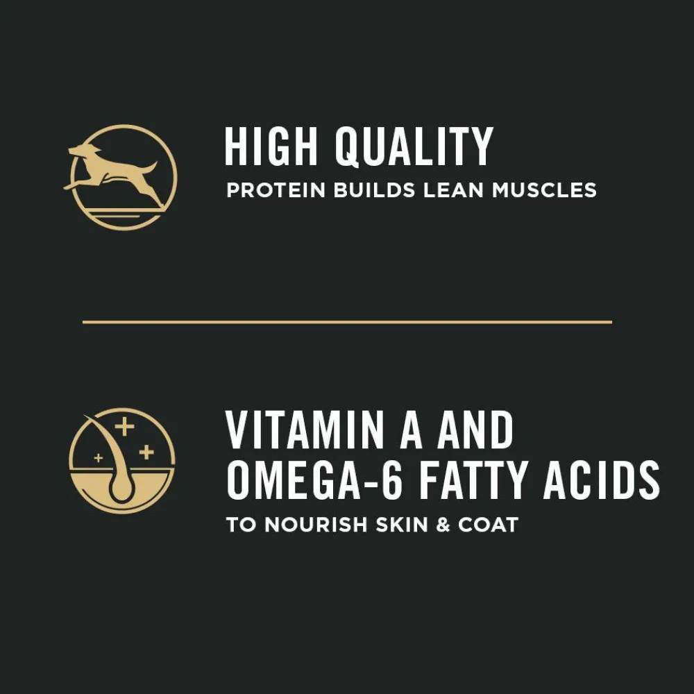 Online Dry Puppy Food Focus Chicken & Rice Formula Food Dry, Wet, Freeze Dried, Etc.