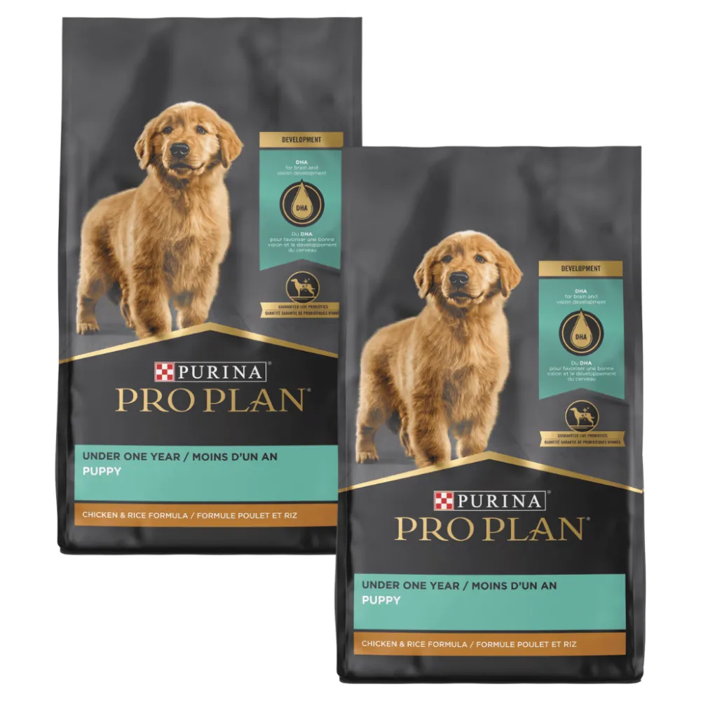 Online Dry Puppy Food Focus Chicken & Rice Formula Food Dry, Wet, Freeze Dried, Etc.