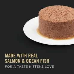 Sale Entree Kitten Food Salmon & Oceanfish Wet Food Cans, Pouches, Tetra Paks, Etc.
