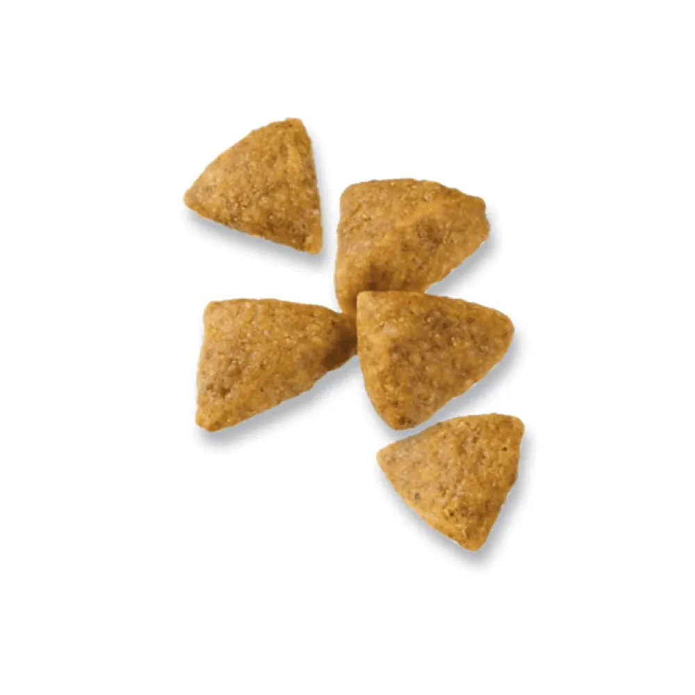 Online High Protein Small Breed Dog Food Chicken & Rice Formula Food Dry, Wet, Freeze Dried, Etc.