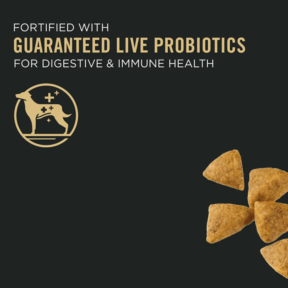 Online High Protein Small Breed Dog Food Chicken & Rice Formula Food Dry, Wet, Freeze Dried, Etc.