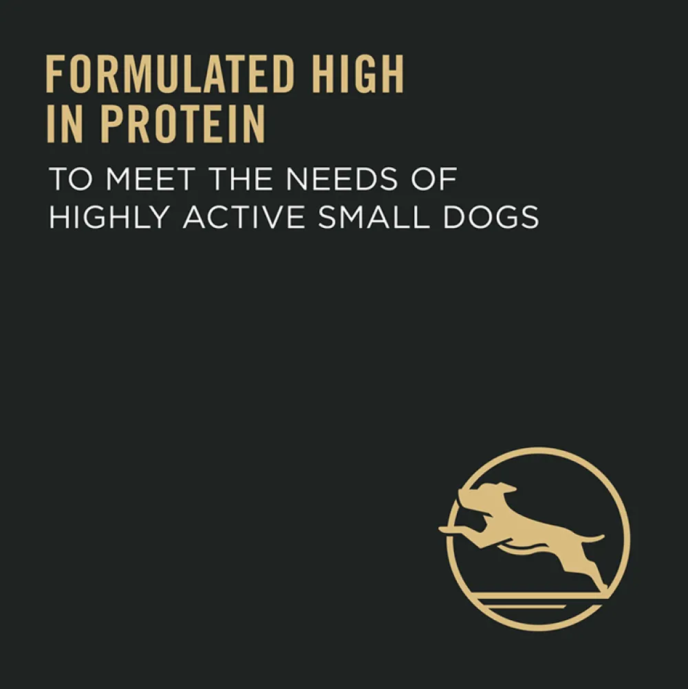 Online High Protein Small Breed Dog Food Chicken & Rice Formula Food Dry, Wet, Freeze Dried, Etc.