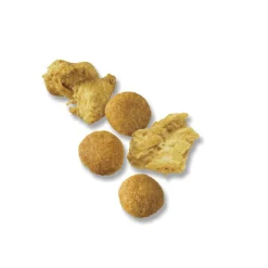 Fashion Joint Health Large Breed Dog Food Shredded Blend Chicken & Rice Formula Food Dry, Wet, Freeze Dried, Etc.