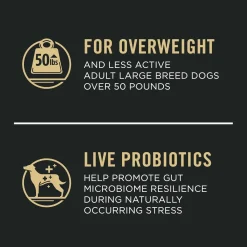 Sale Large Breed Weight Management Dog Food Chicken & Rice Formula Food Dry, Wet, Freeze Dried, Etc.