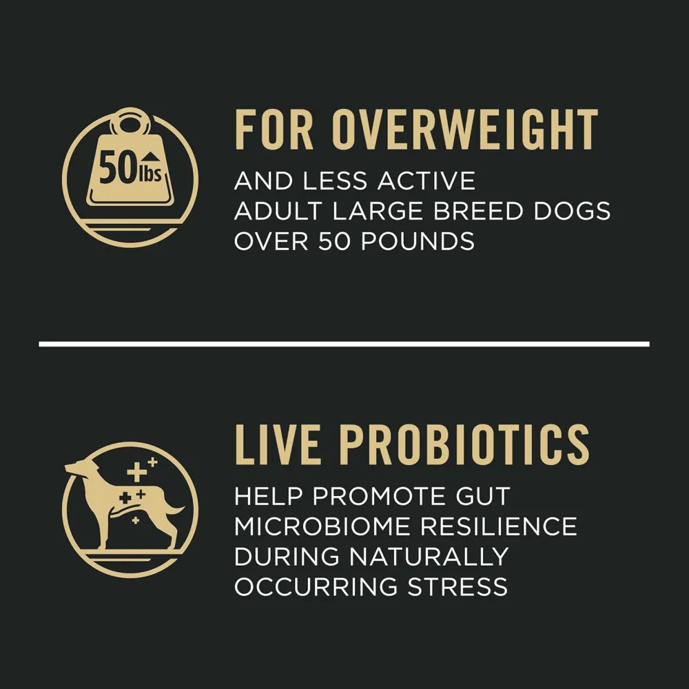 Sale Large Breed Weight Management Dog Food Chicken & Rice Formula Food Dry, Wet, Freeze Dried, Etc.