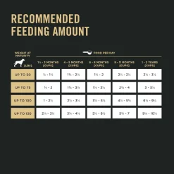 Best Large Breed Dry Puppy Food Chicken & Rice Formula Food Dry, Wet, Freeze Dried, Etc.